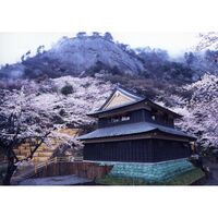 画像1886
