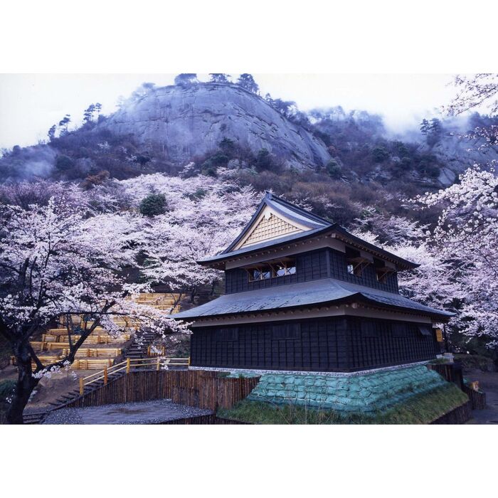 画像1886