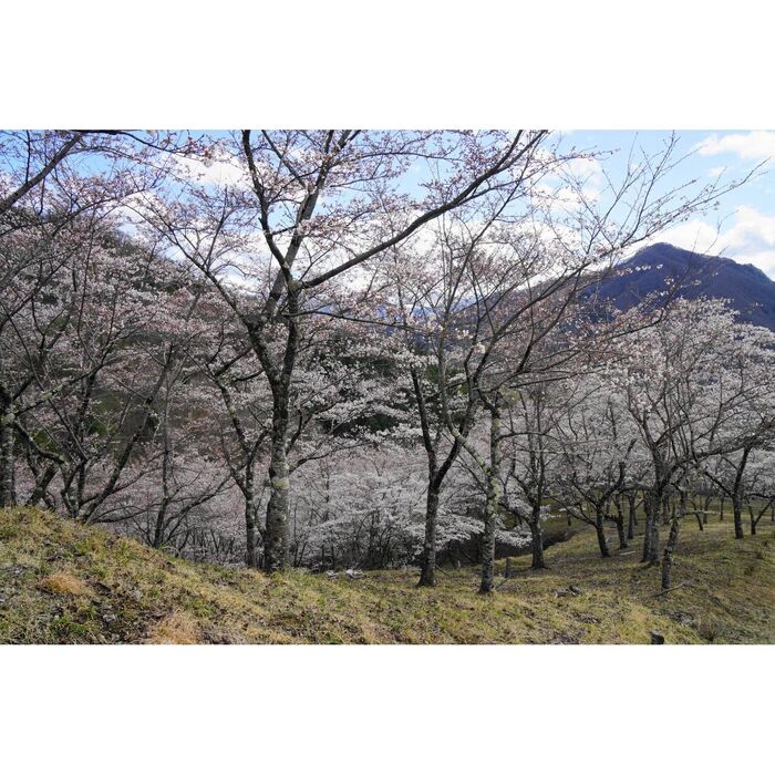 画像1906
