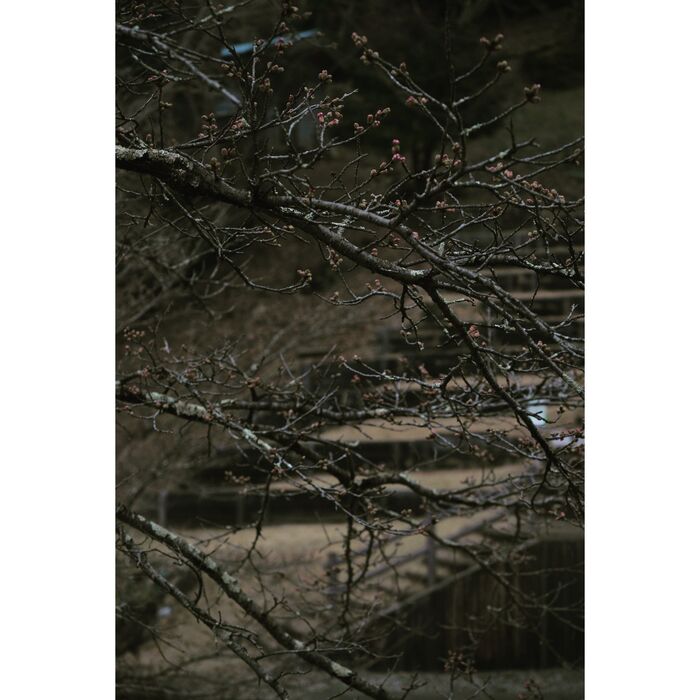 画像2045