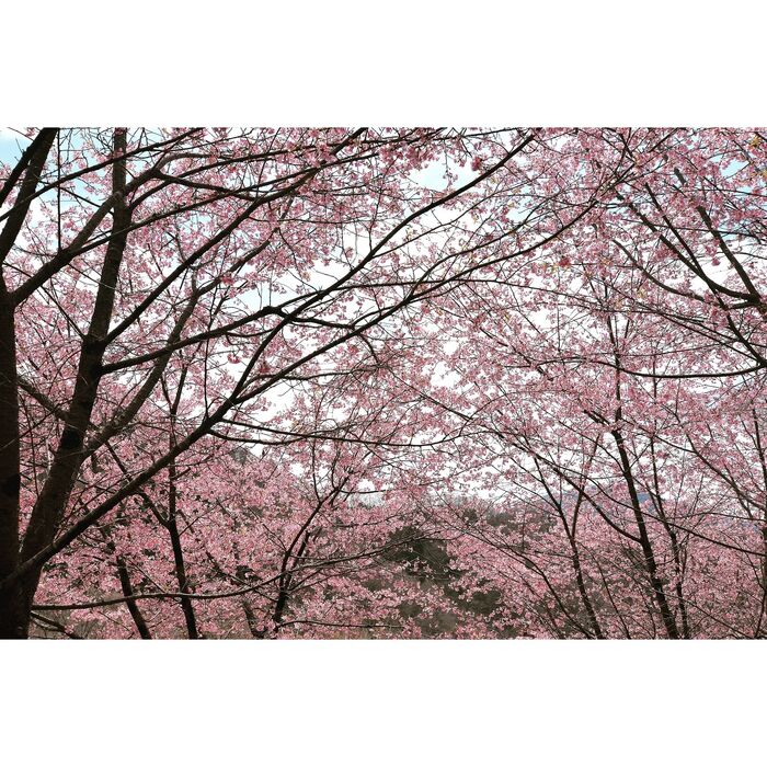 画像2102