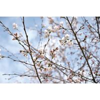 画像2103