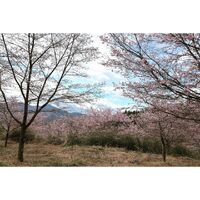 画像2104