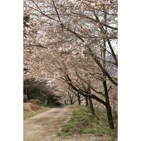 画像2106