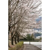 画像2108