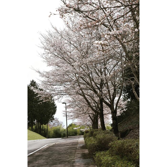 画像2110