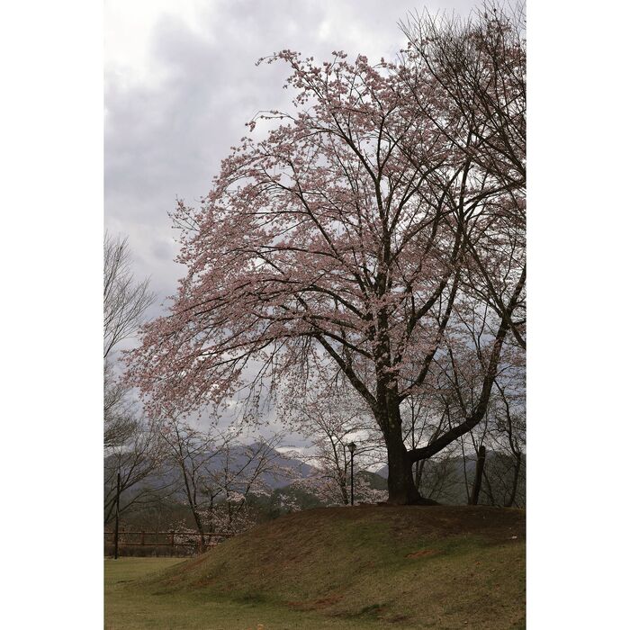 画像2114