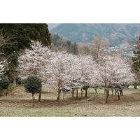 画像2116
