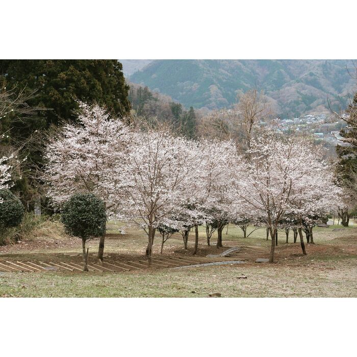 画像2116