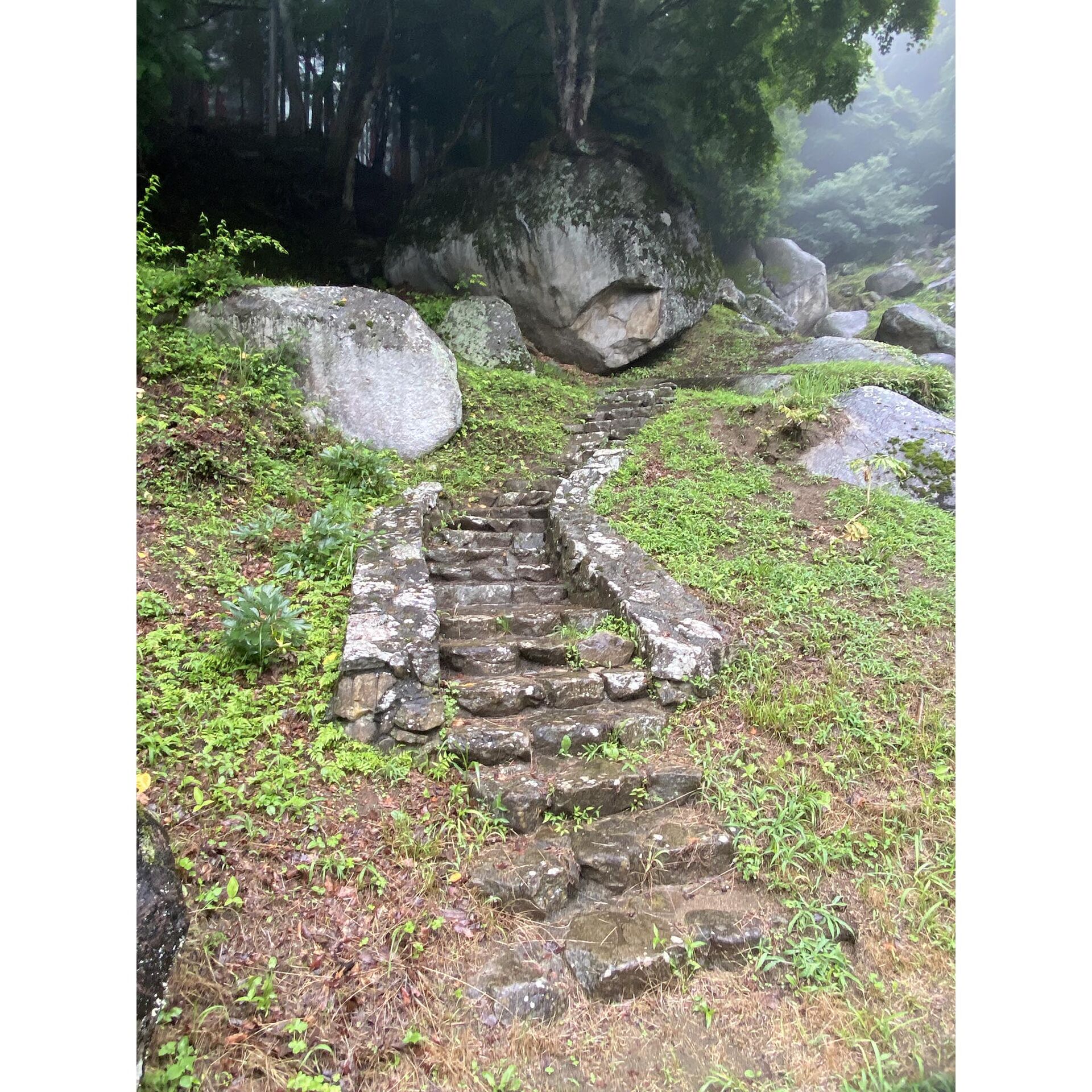 画像2393