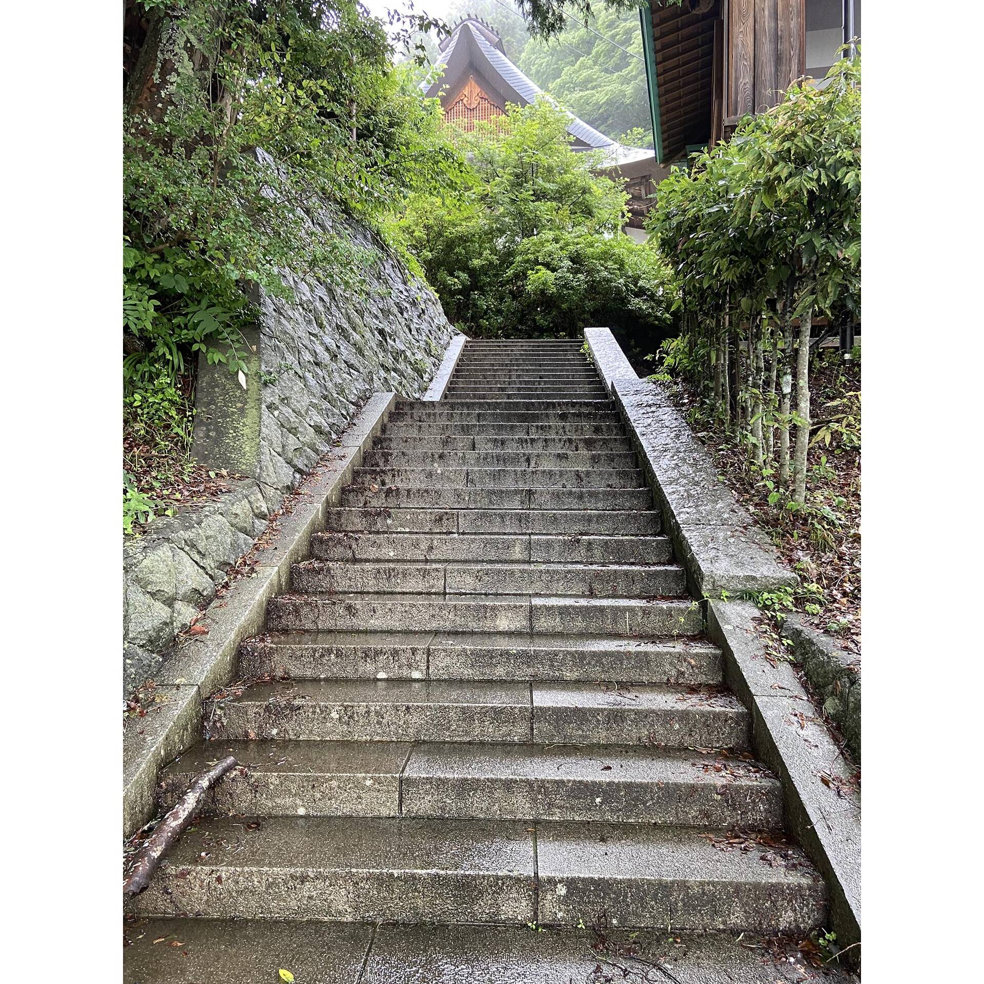 画像2395