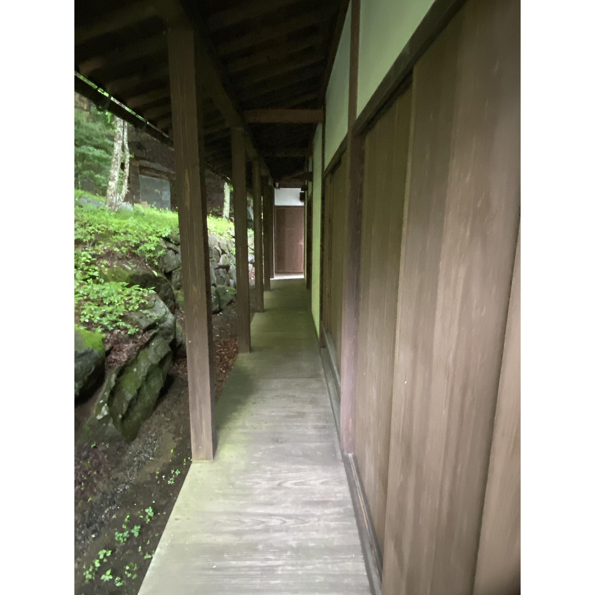 画像2397