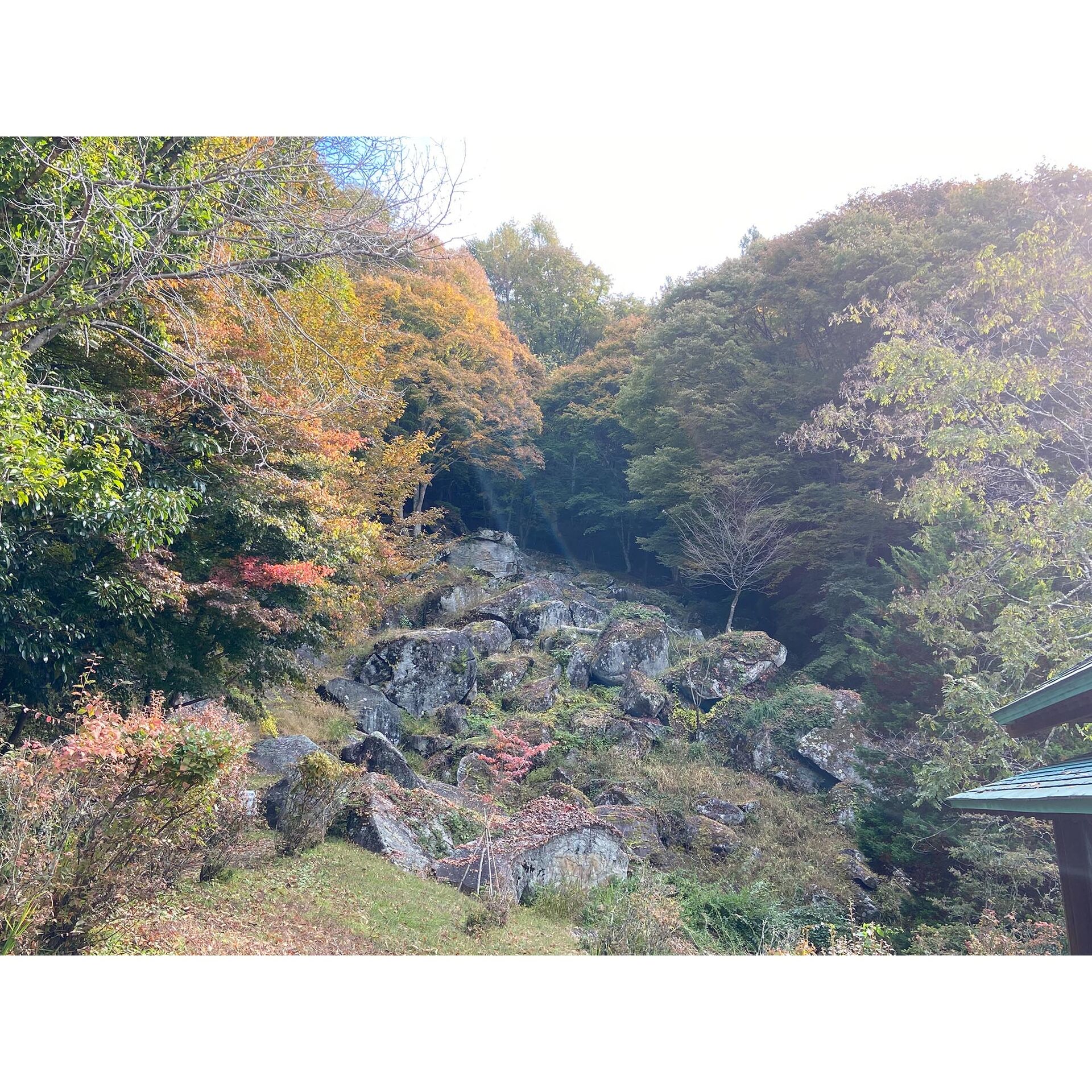 画像2403