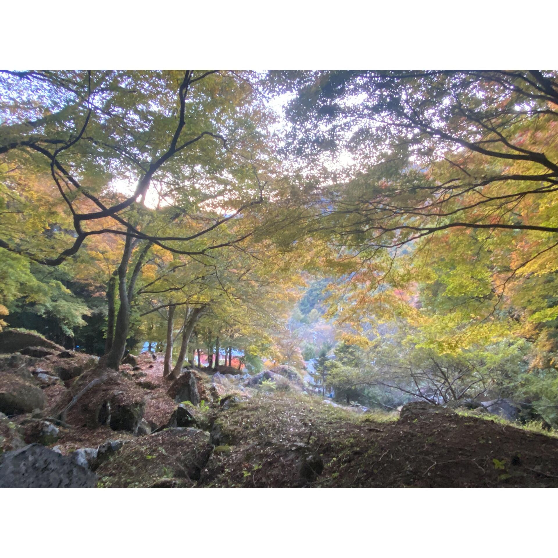 画像2407