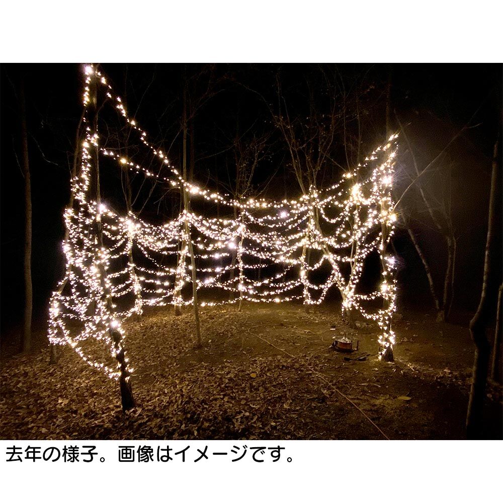 画像2724