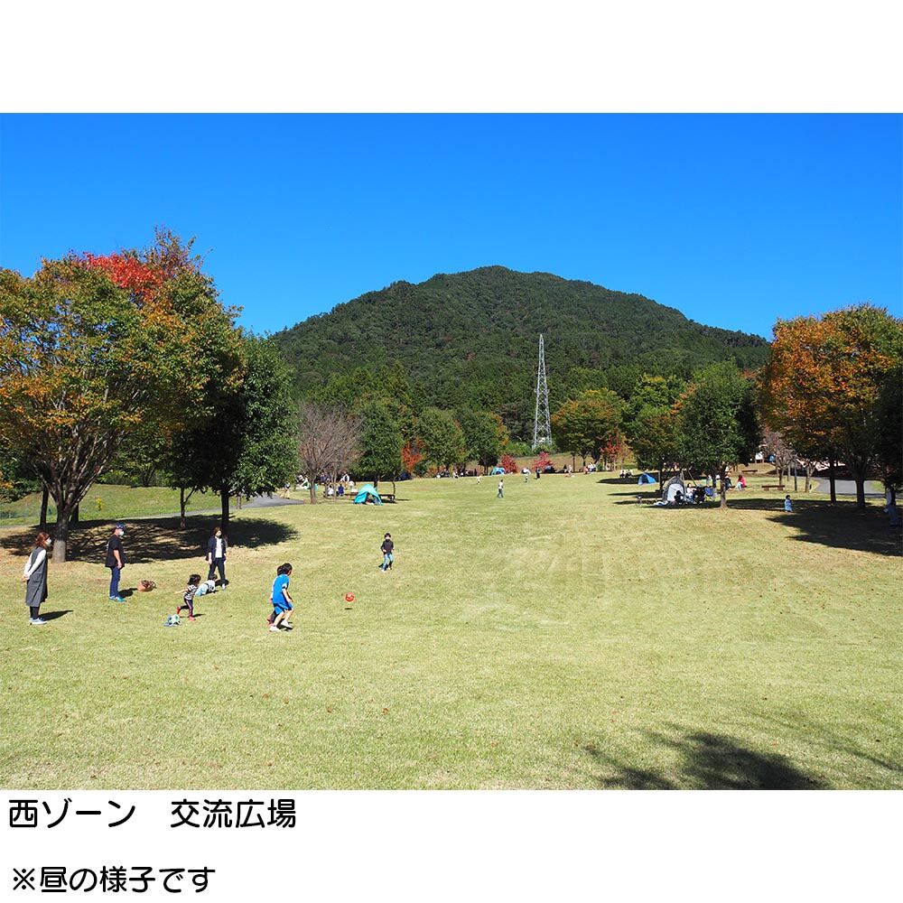 画像2725