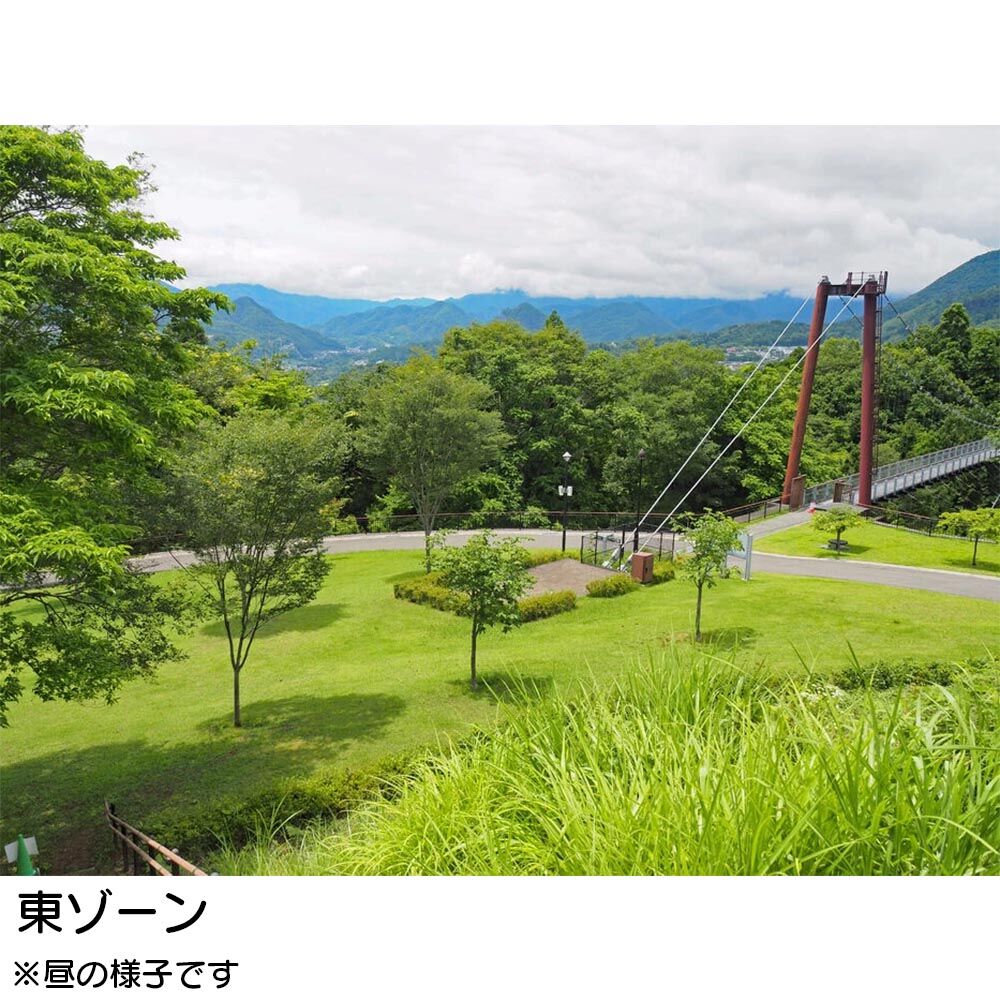 画像2727