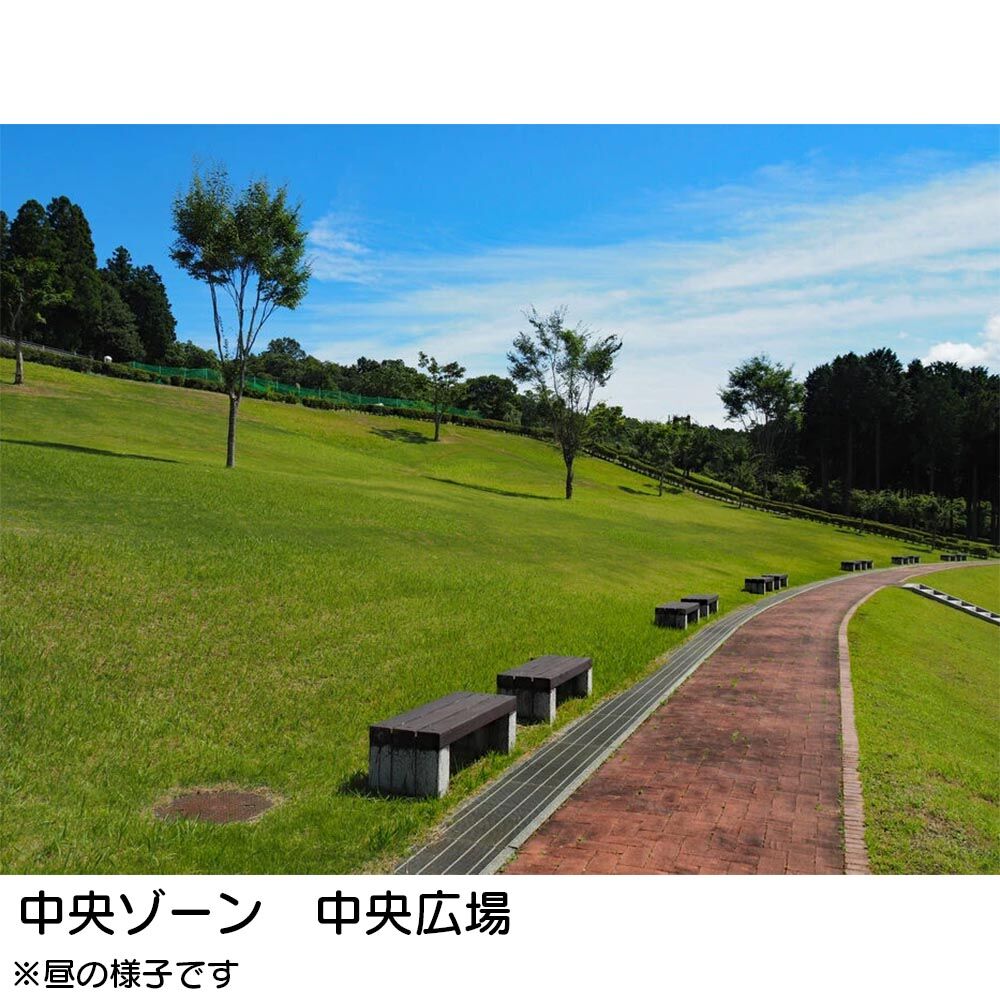 画像2728
