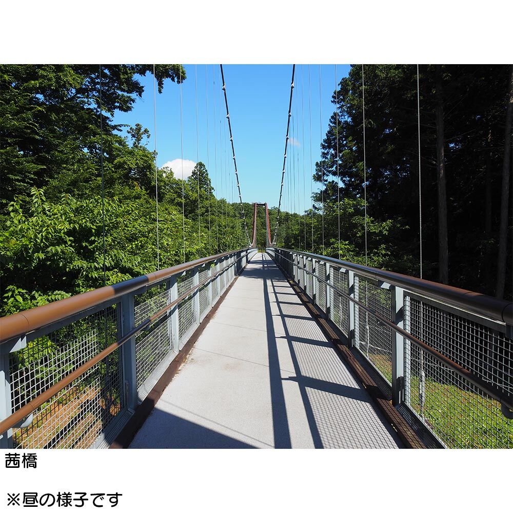 画像2729