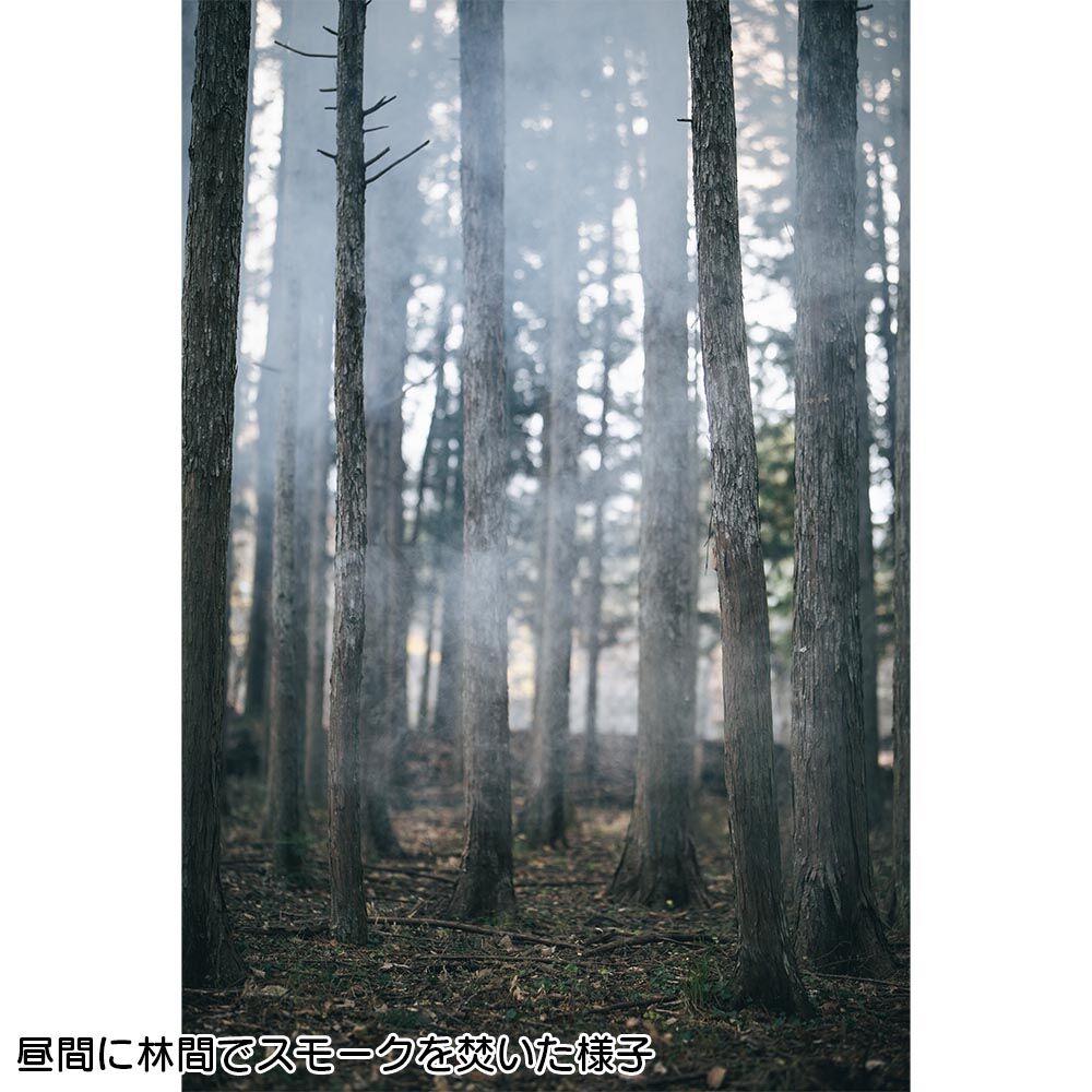 画像2730