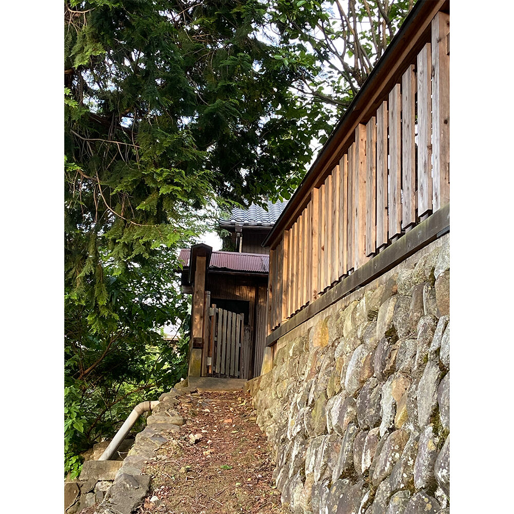 画像2818