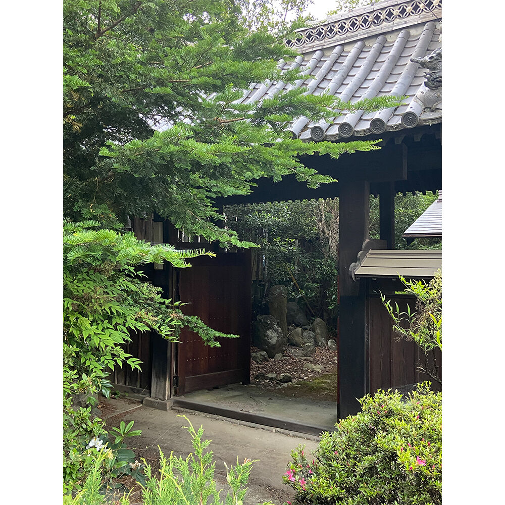 画像2823
