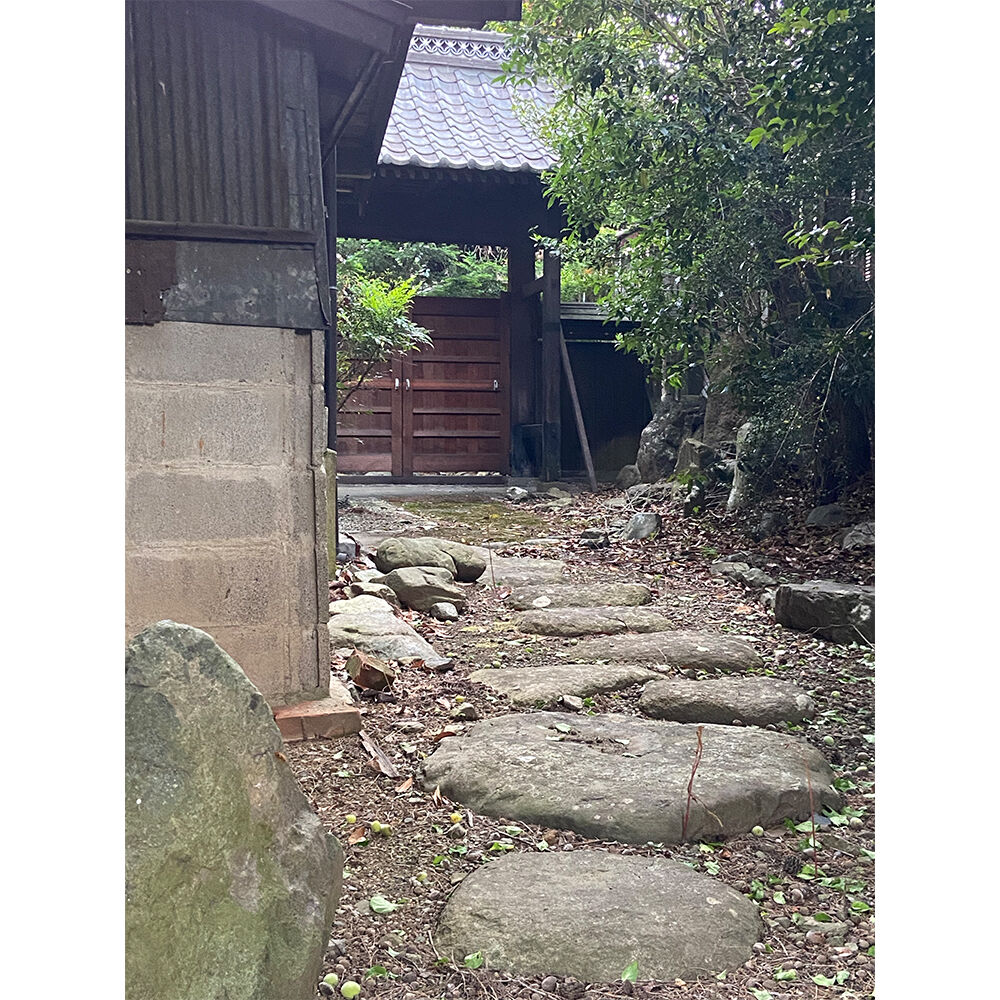 画像2824