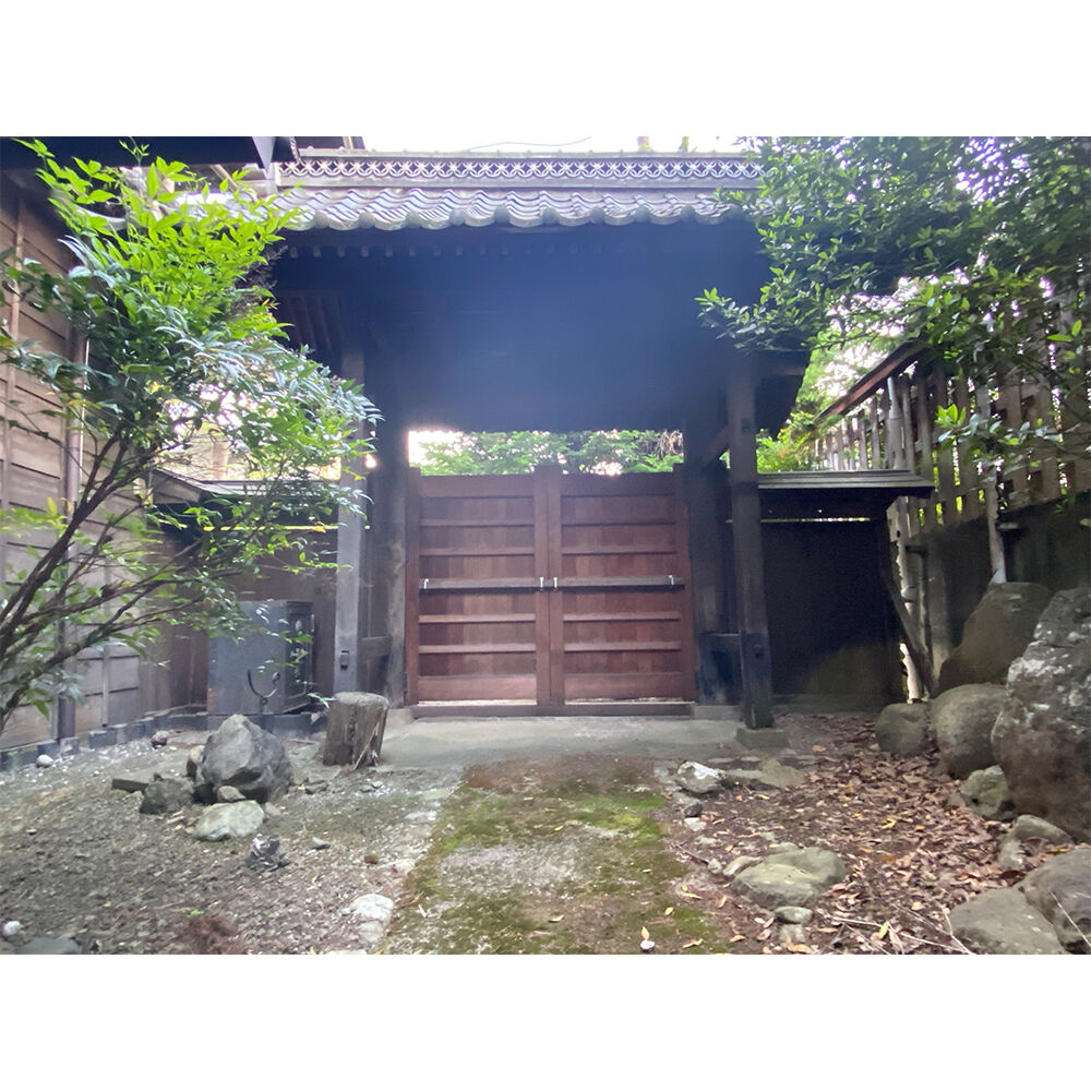画像2825