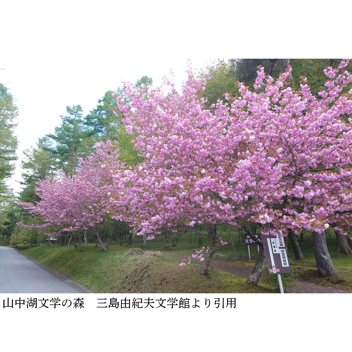 画像2921