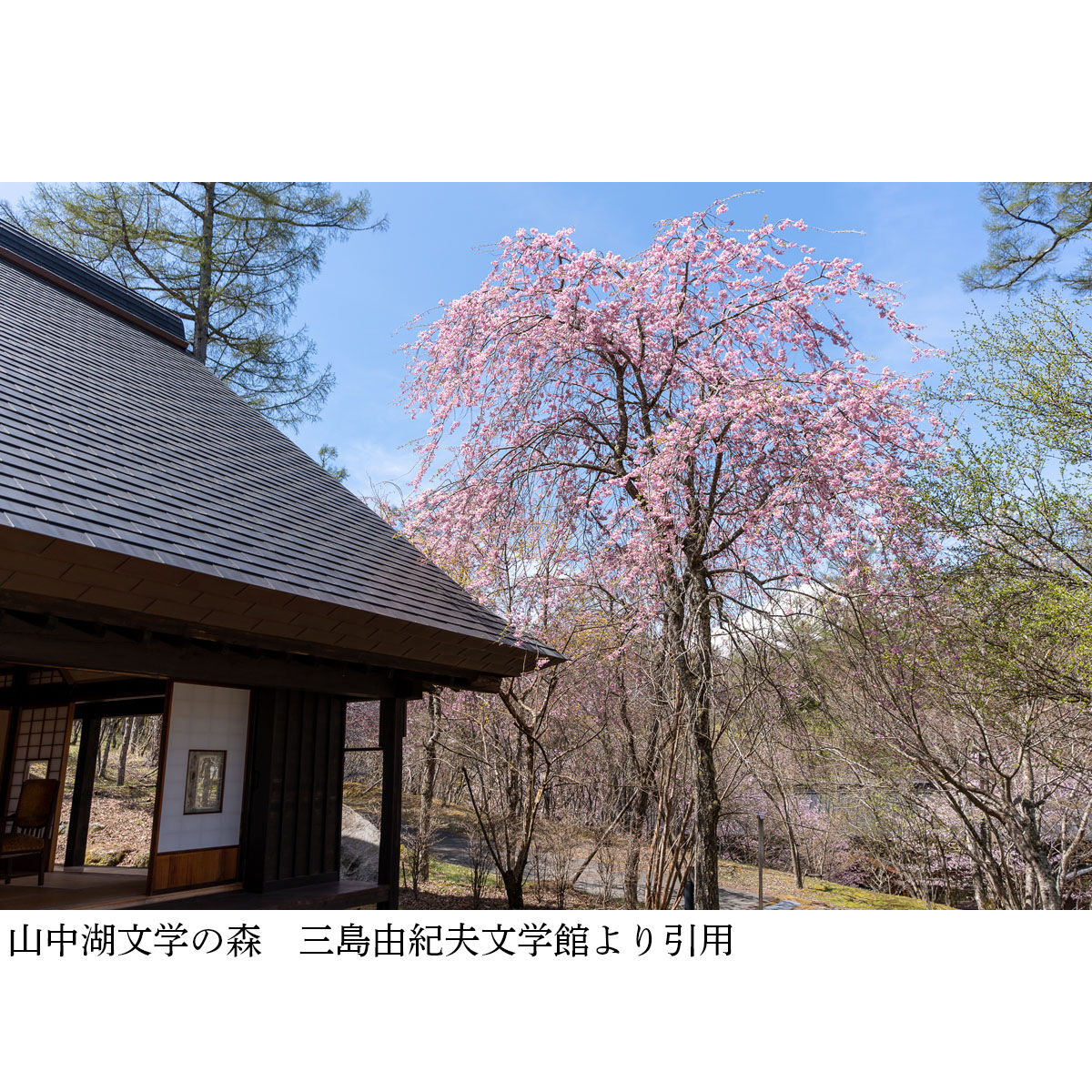 画像2922