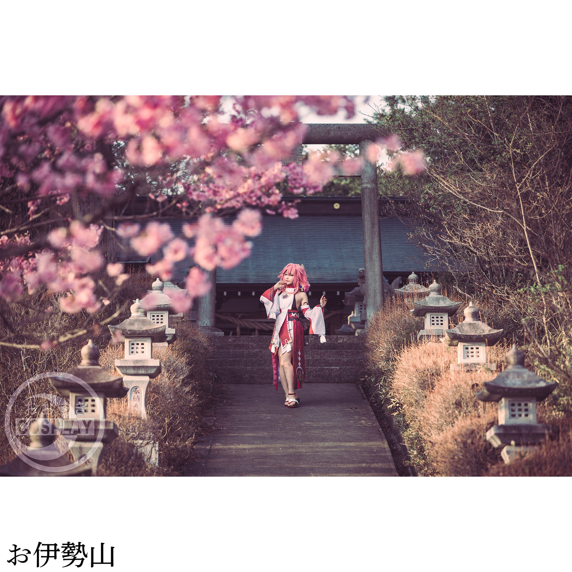 画像3015