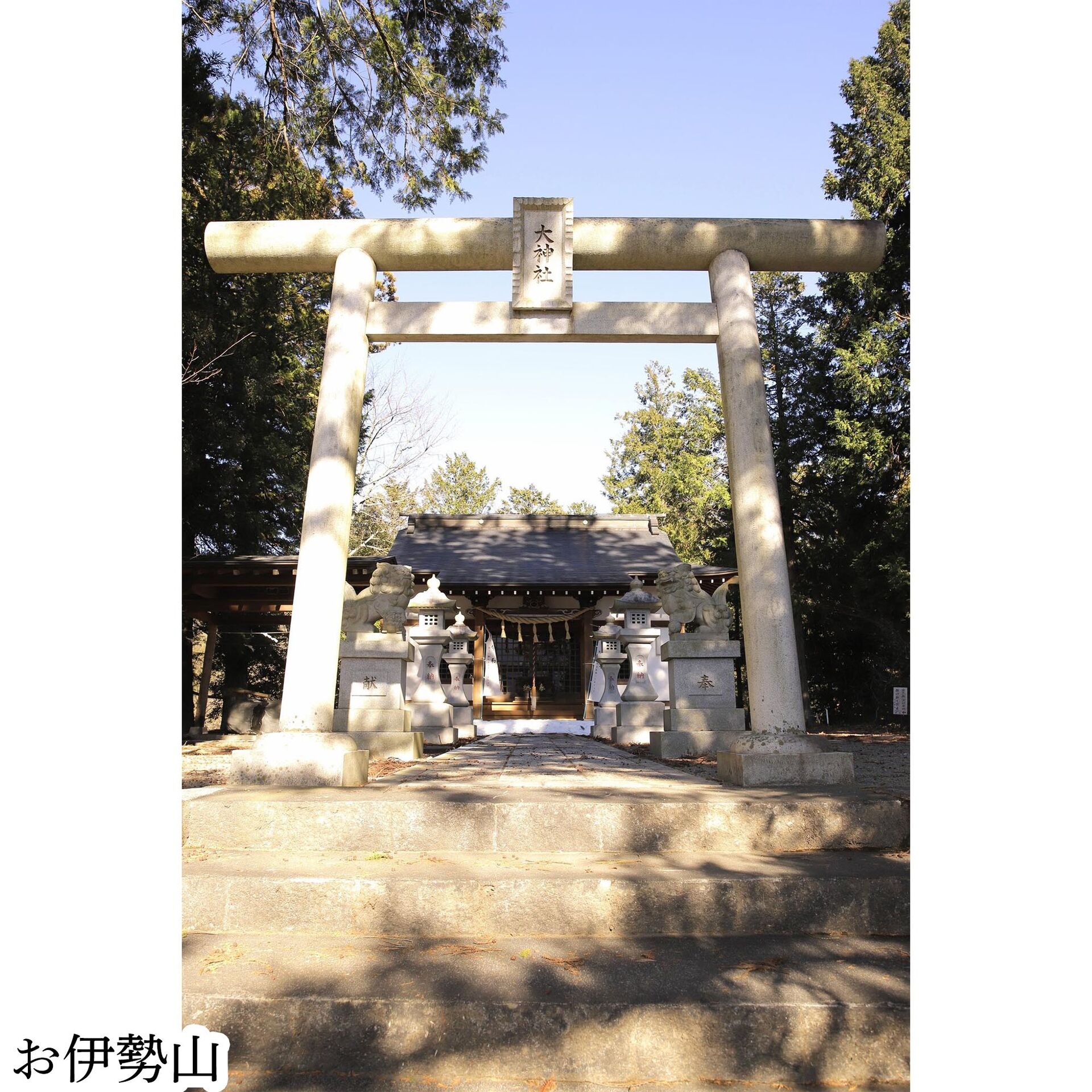 画像3016