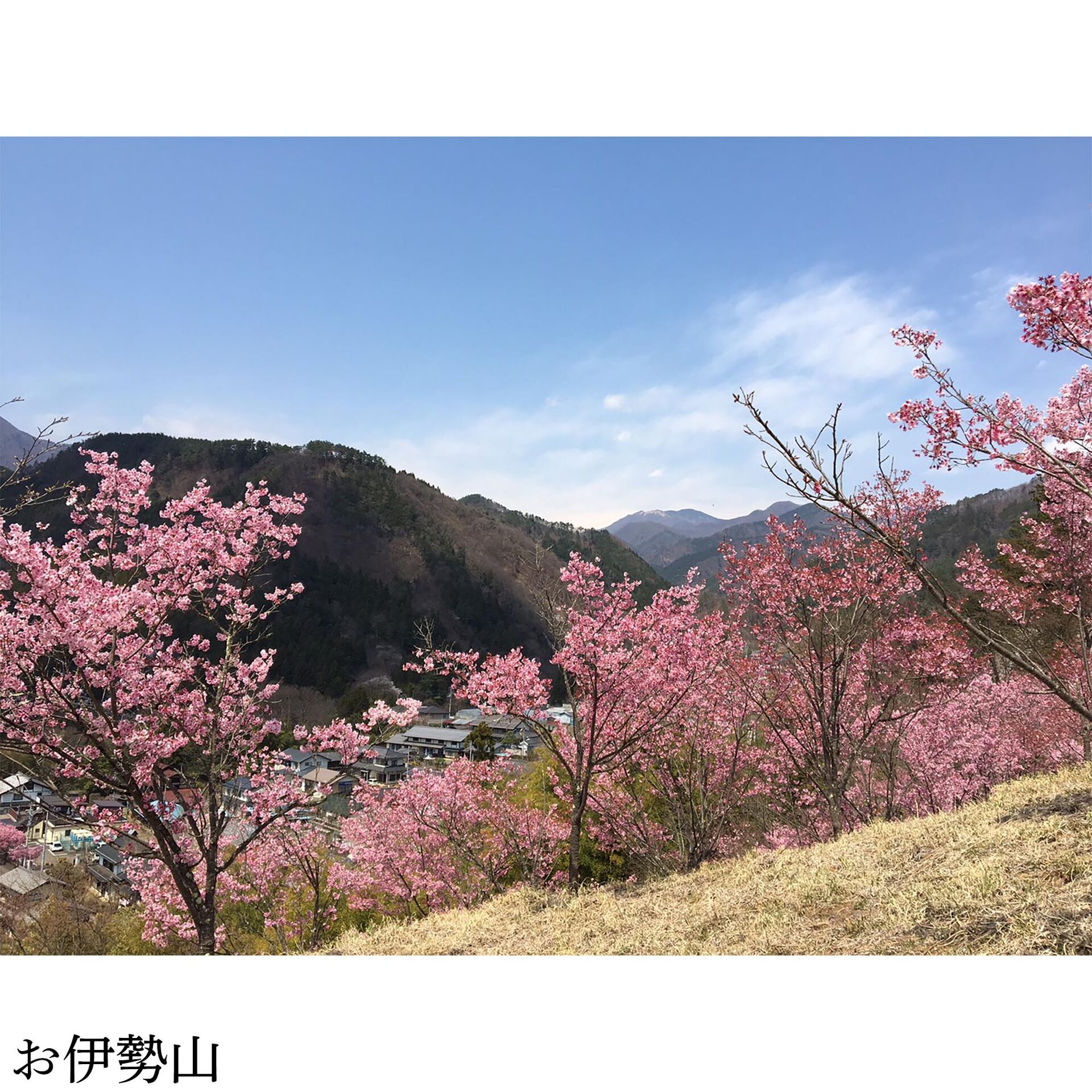 画像3018