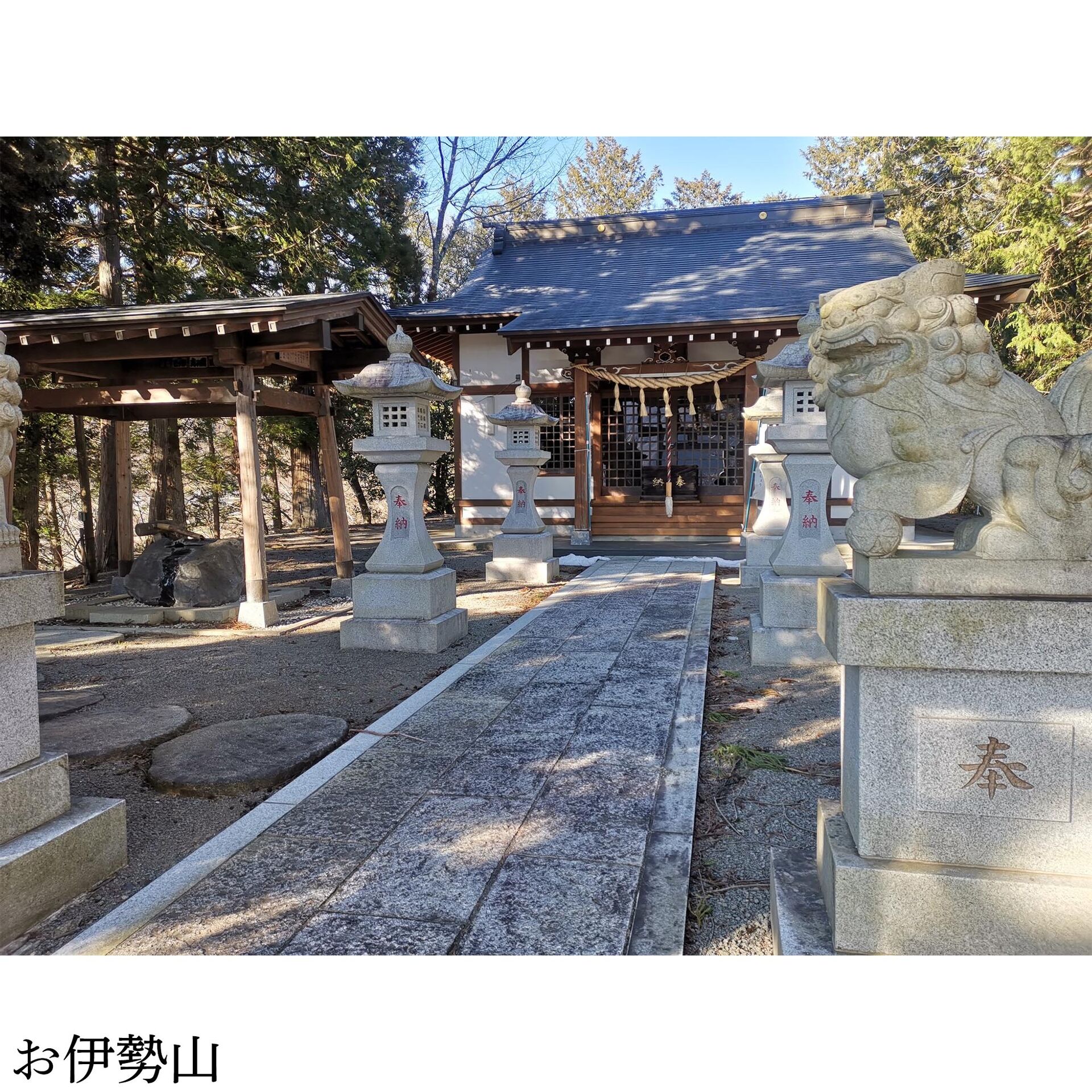 画像3019