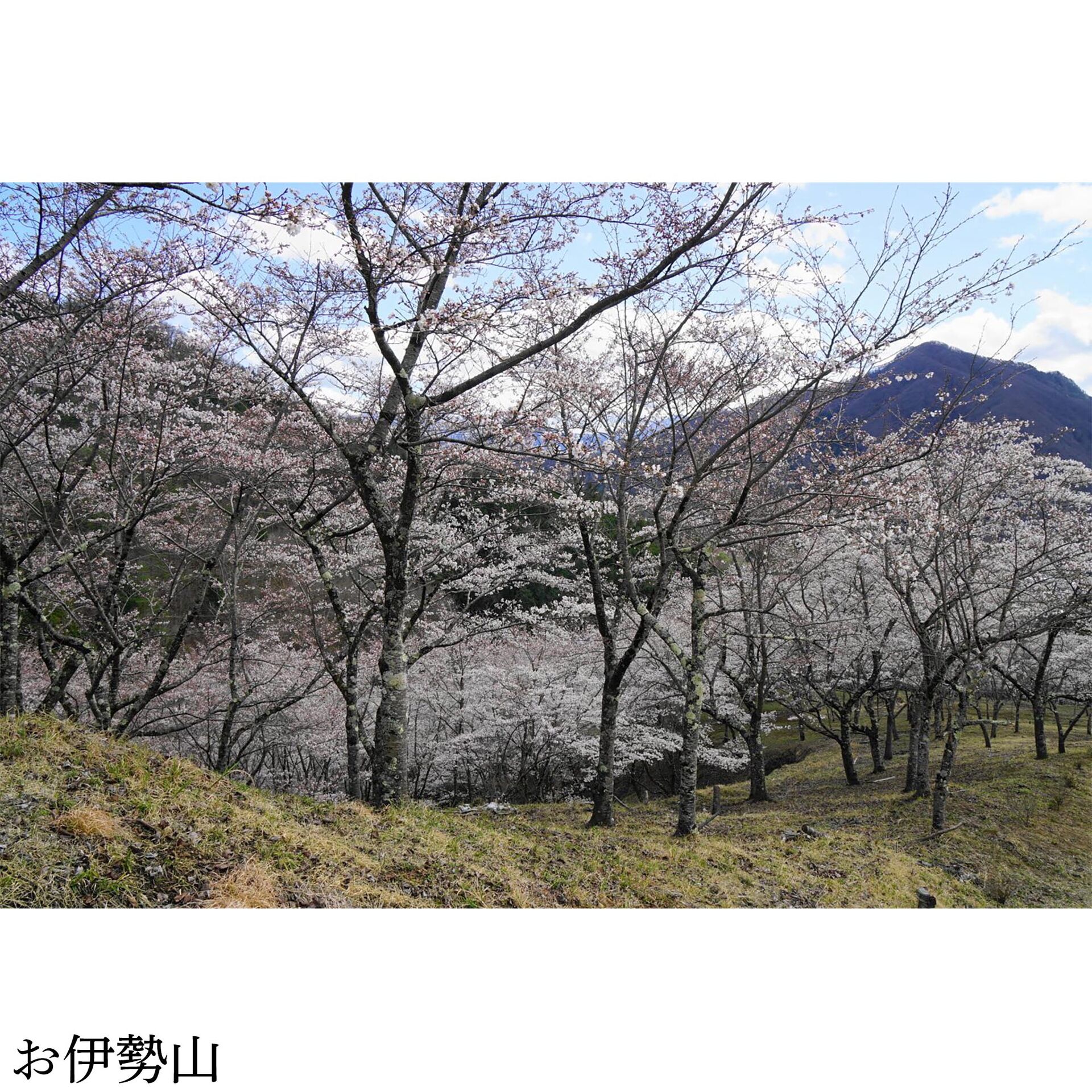 画像3023