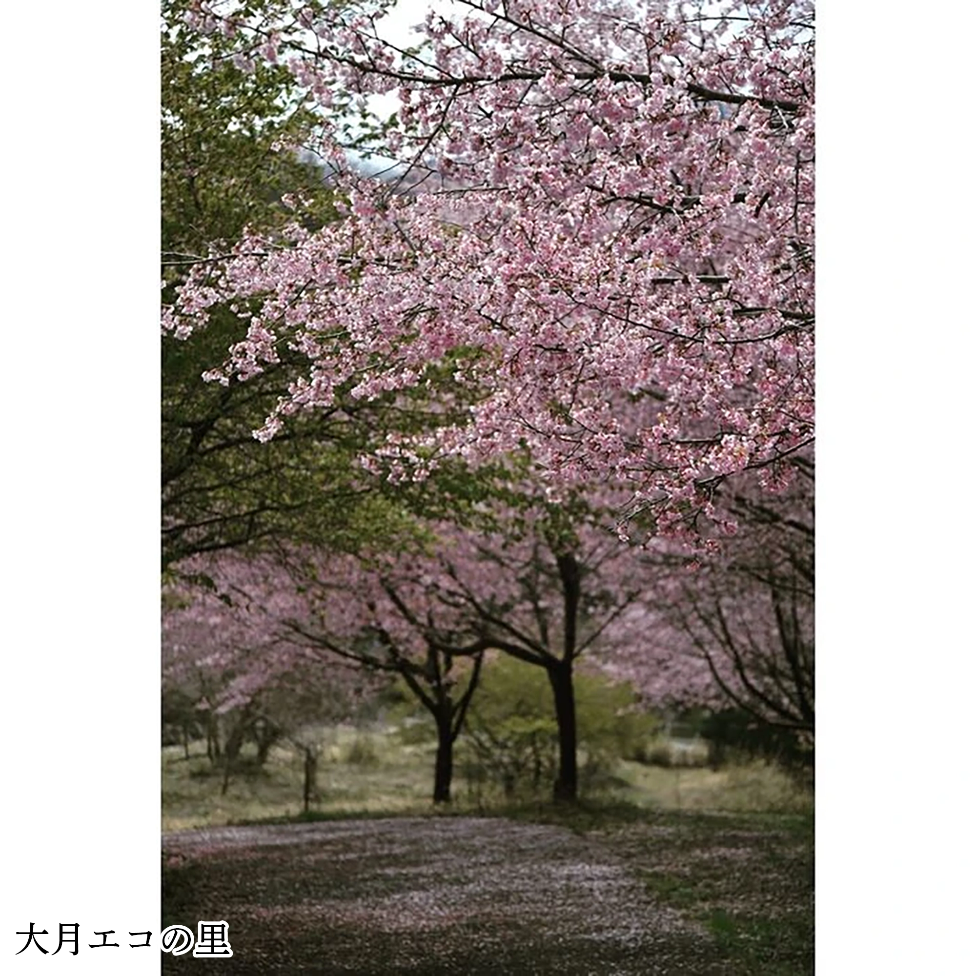 画像3024