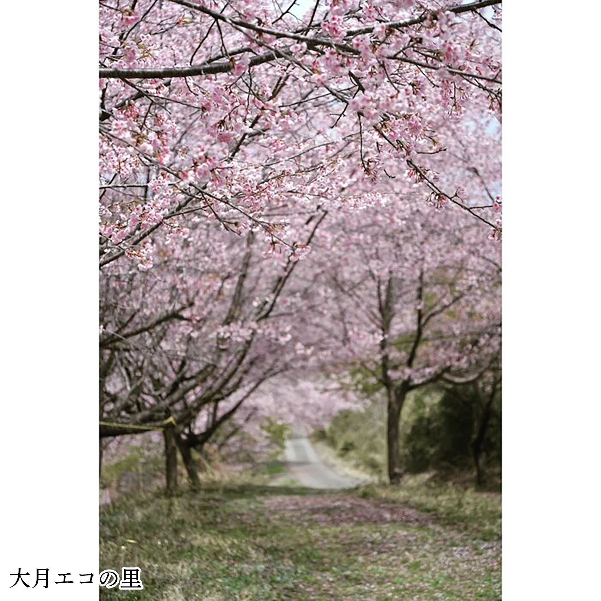 画像3025