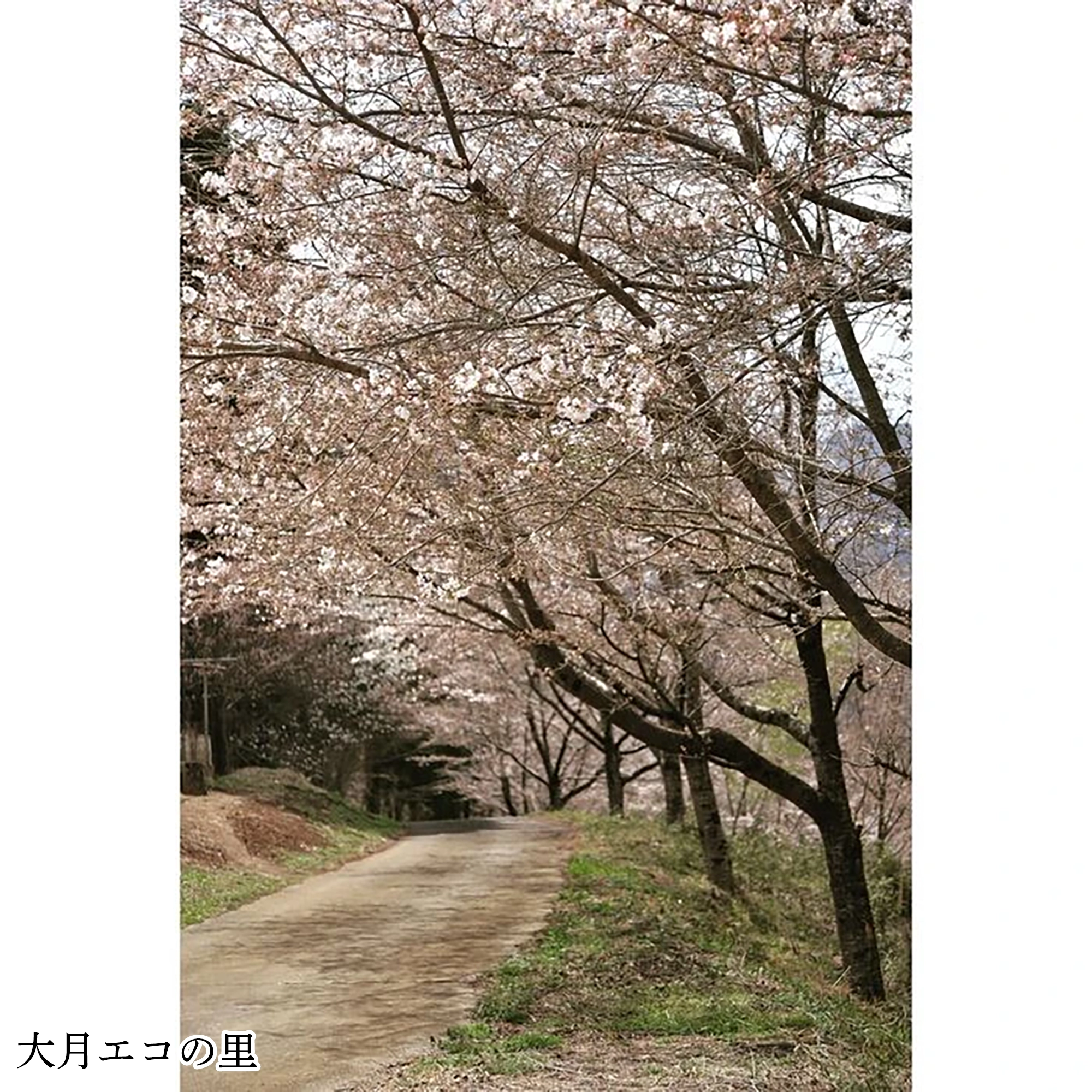 画像3026