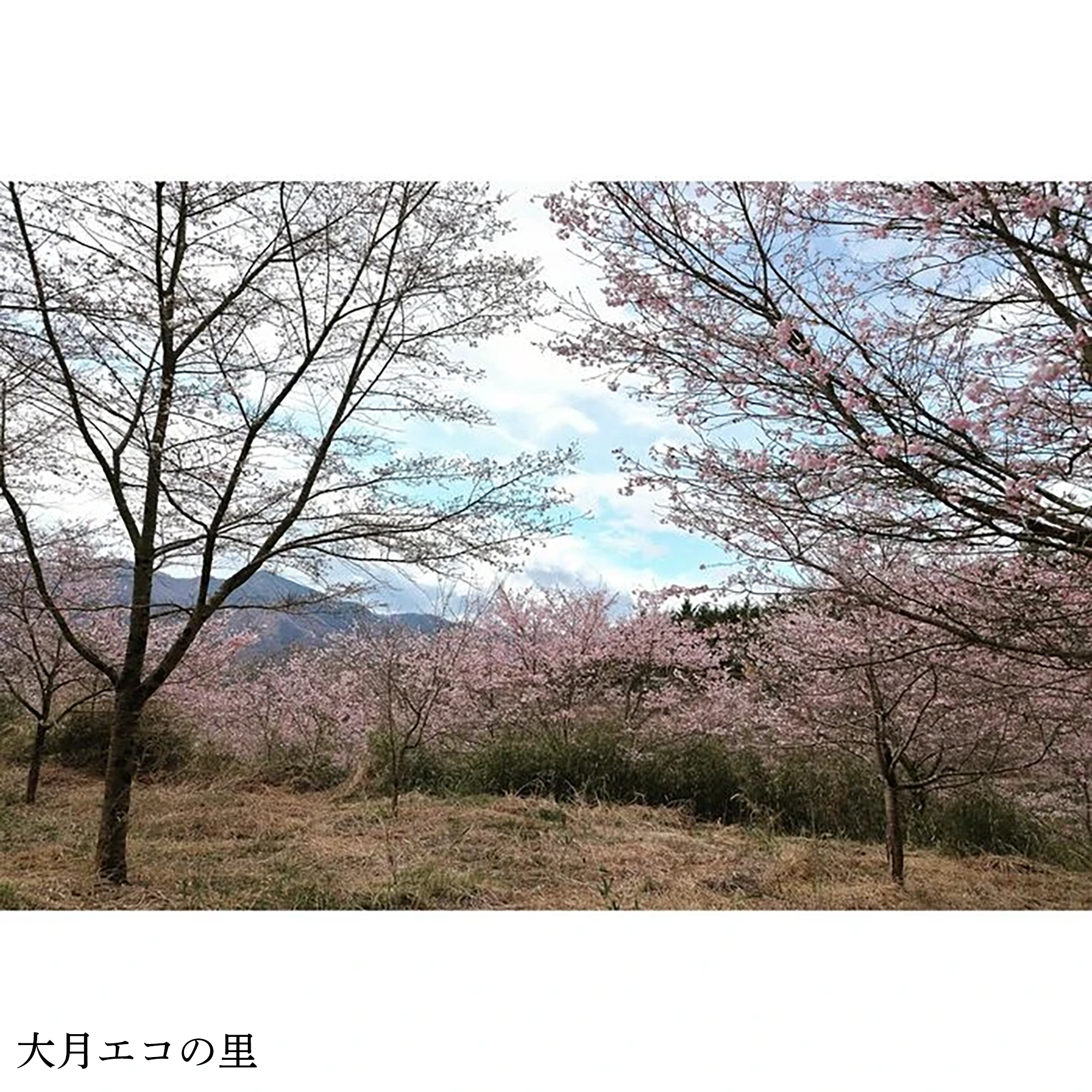 画像3027