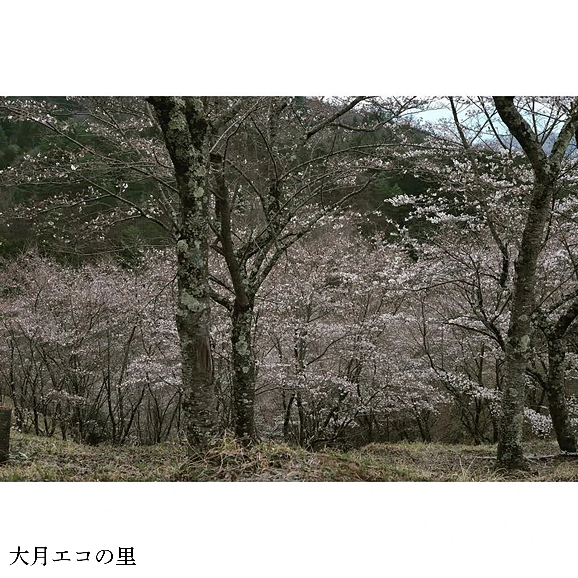 画像3028