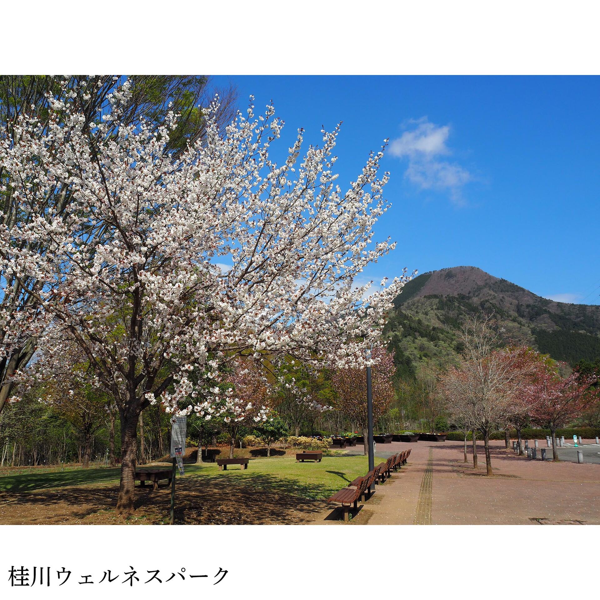 画像3032