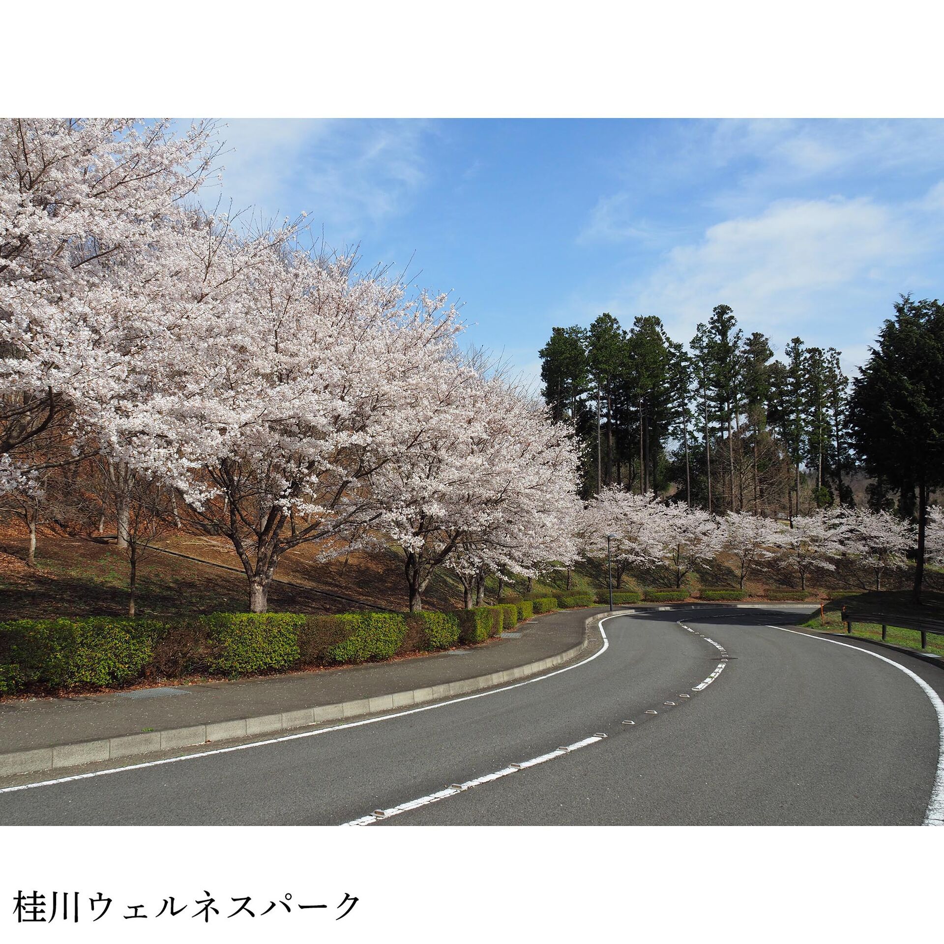 画像3035