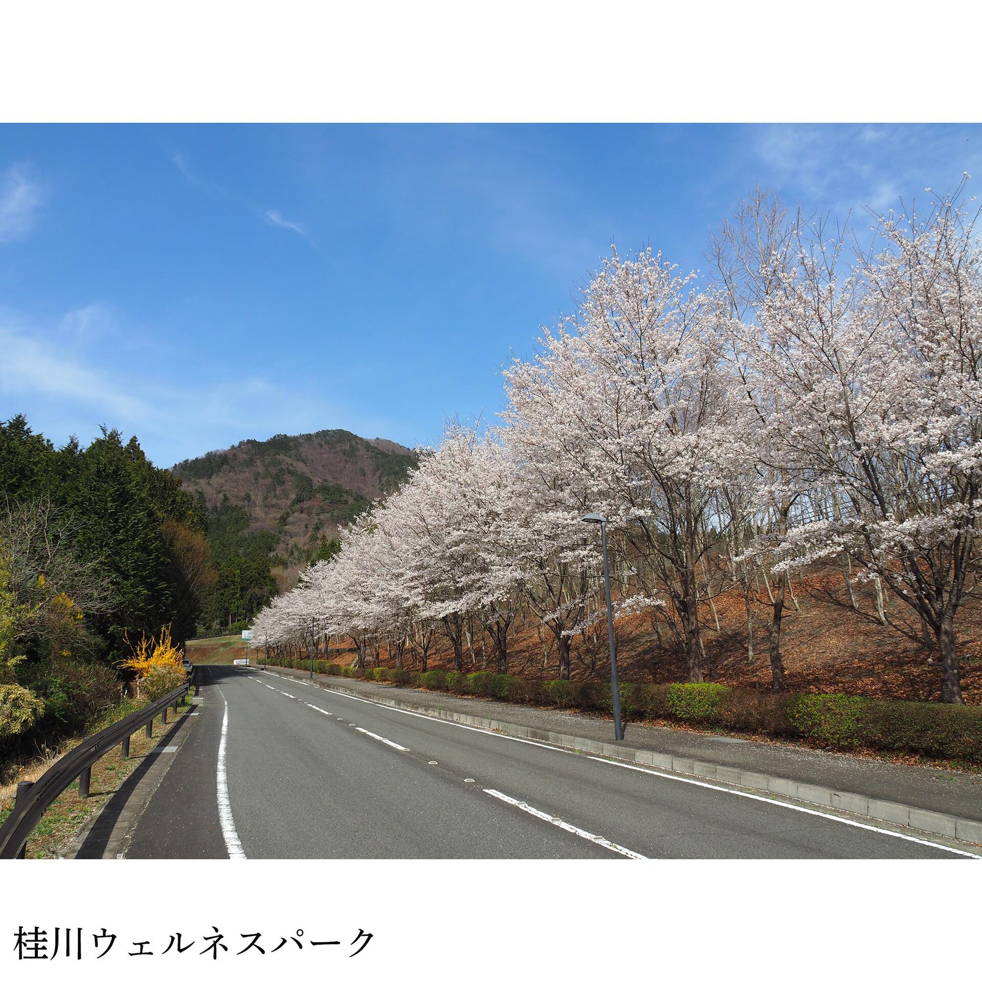 画像3036