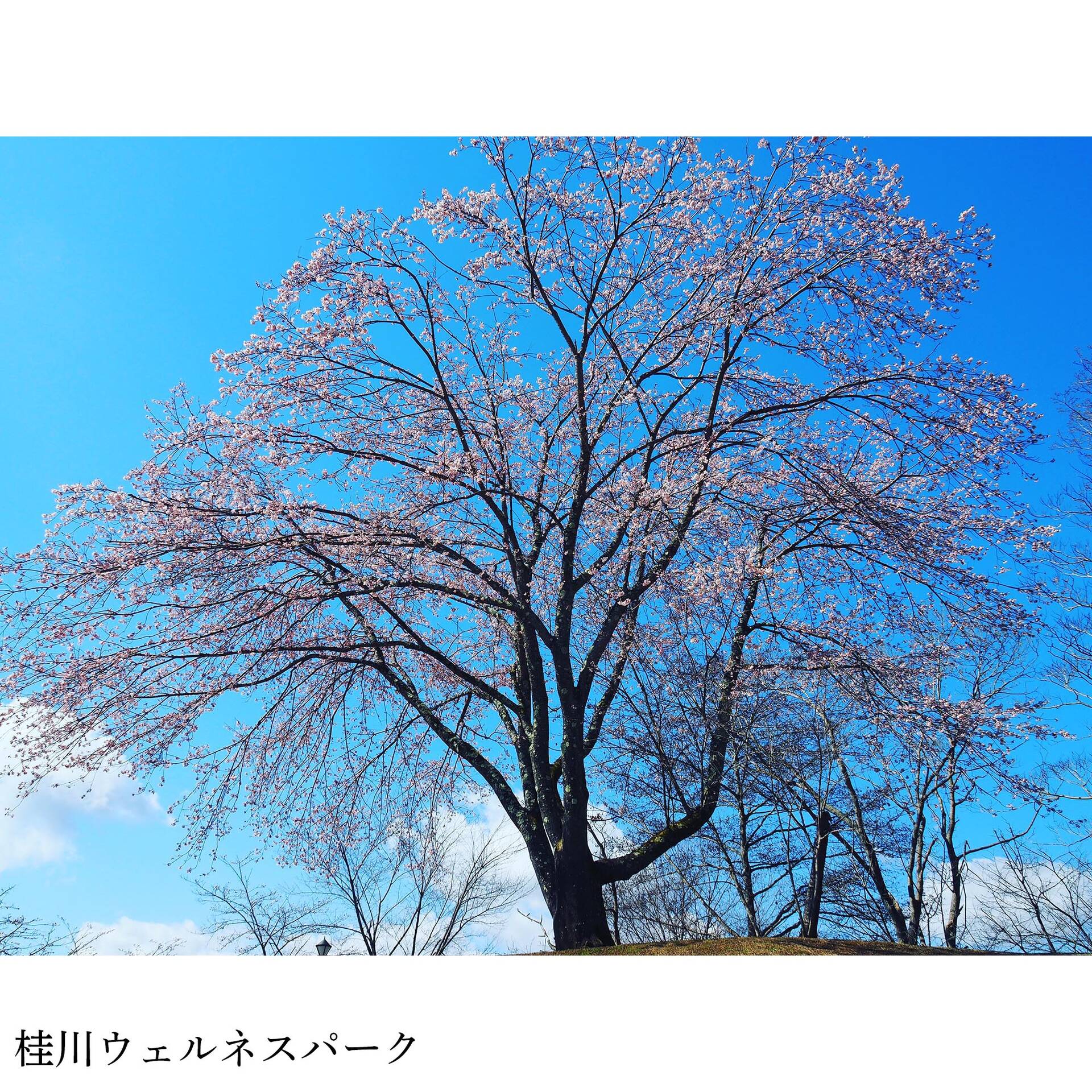画像3037