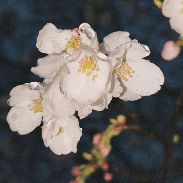 画像3117