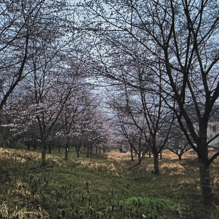 画像3119