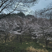 画像3121