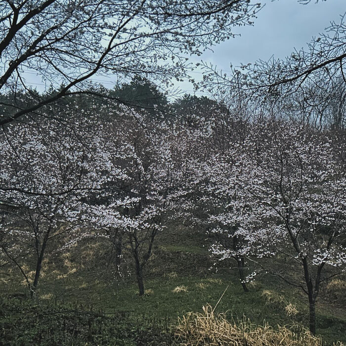 画像3121