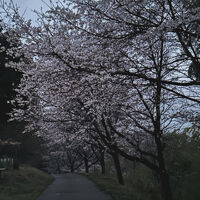 画像3122