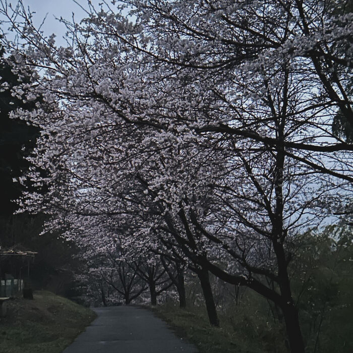 画像3122